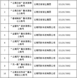 云南信息報(bào)旗下六產(chǎn)品獲首批互聯(lián)網(wǎng)新聞信息服務(wù)許可，賦能區(qū)域信息服務(wù)新格局