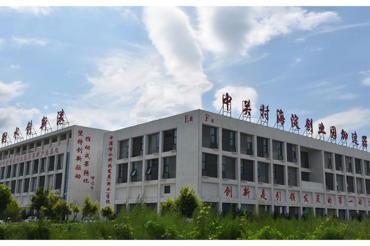 劉志偉,公司經營范圍包括:信息技術咨詢服務等.